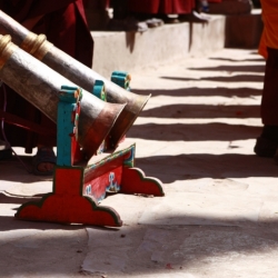 hemis_ladakh (21)