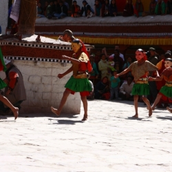 hemis_ladakh (23)
