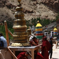 hemis_ladakh (4)