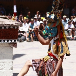 hemis_ladakh (7)