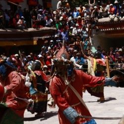 hemis_ladakh (9)