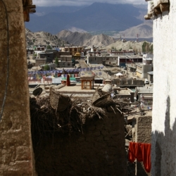 leh_ladakh (2)