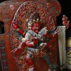 leh_ladakh (4)