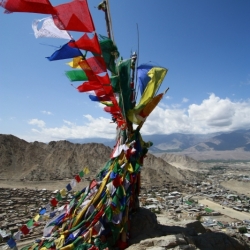 leh_ladakh (6)