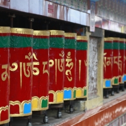 mcleod ganj_himachal pradesh (3)