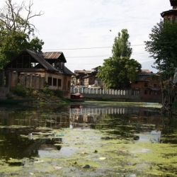 srinagar_kashmir (10)