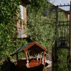 srinagar_kashmir (11)