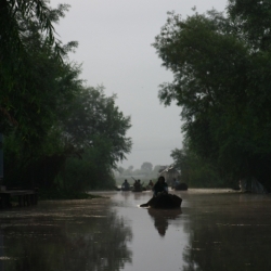 srinagar_kashmir (16)