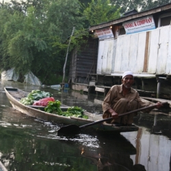 srinagar_kashmir (17)