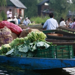 srinagar_kashmir (19)