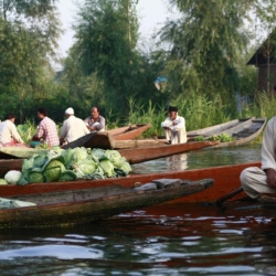srinagar_kashmir (20)