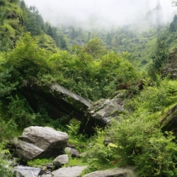 vashist_himachal pradesh (3)