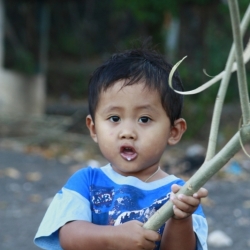 amed_bali-3