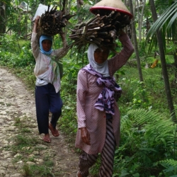 dintorni-pangandaran_java-1
