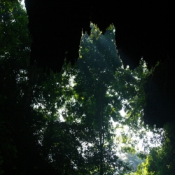 dintorni-pangandaran_java-10