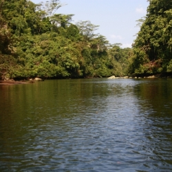 dintorni-pangandaran_java-11