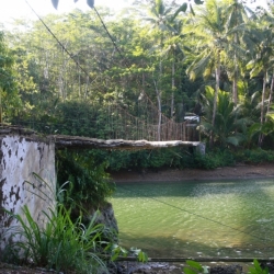 dintorni-pangandaran_java-14