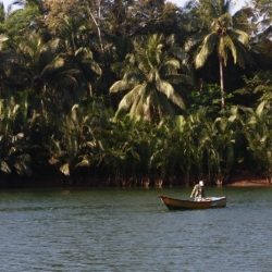 dintorni-pangandaran_java-15