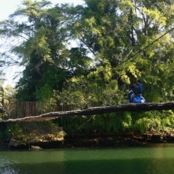 dintorni-pangandaran_java-16