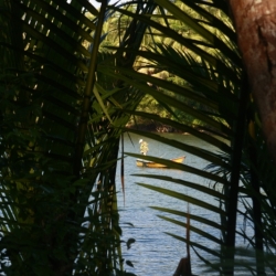 dintorni-pangandaran_java-17