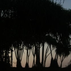 dintorni-pangandaran_java-21