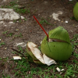 dintorni-pangandaran_java-5