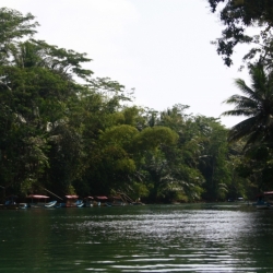 dintorni-pangandaran_java-6
