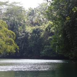 dintorni-pangandaran_java-7