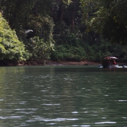dintorni-pangandaran_java-8