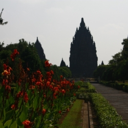 dintorni-yogya_java-14