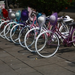 jakarta_java-3
