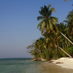 karimunjawa_java-10
