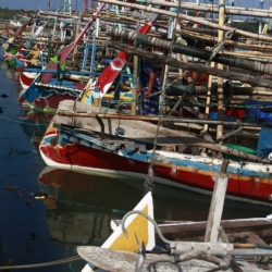 karimunjawa_java-8