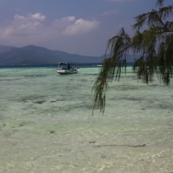 karimunjawa_java-9