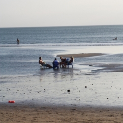 kuta_bali-1