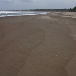 pangandaran_java-3
