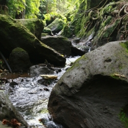ubud_bali-12