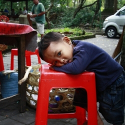 ubud_bali-16