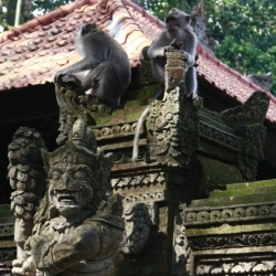 ubud_bali-9