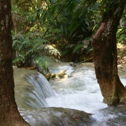 dintorni luang prabang (2)