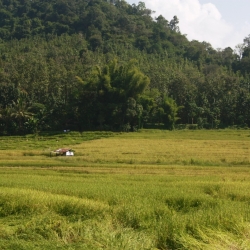 dintorni luang prabang (8)