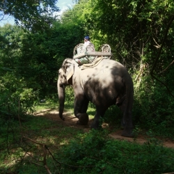 pakse (16)