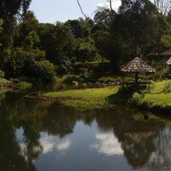 pakse (5)