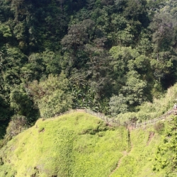pakse (6)
