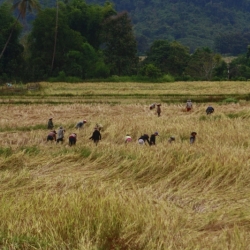 vang vieng (11)