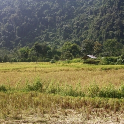 vang vieng (3)