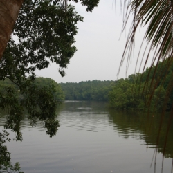 cherating (9)