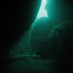 pulau tioman (17)