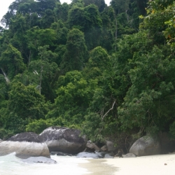 pulau tioman (2)