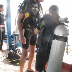 pulau tioman (20)